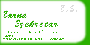 barna szekretar business card